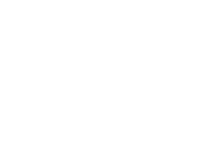 logo blanco